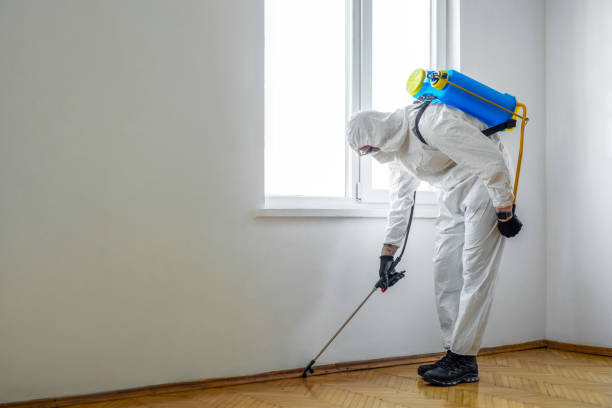 Best Ant Control Services  in Edgar, WI