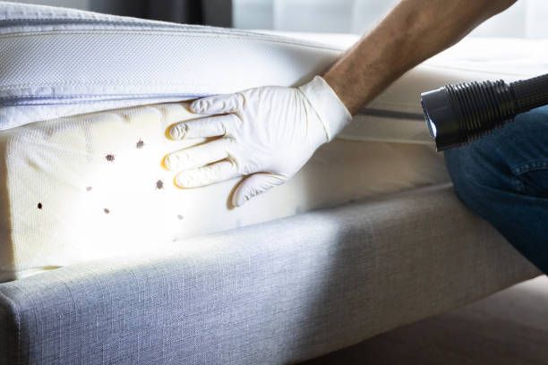 Best Exterminator Services  in Edgar, WI