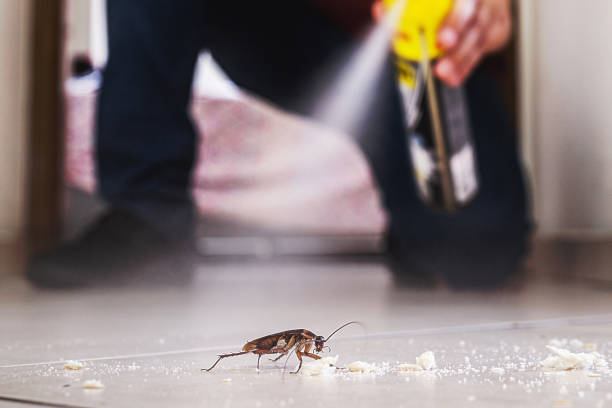 Best Local Pest Control Services  in Edgar, WI