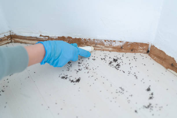 Reliable Edgar, WI Pest Control Solutions